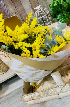 Bouquet de mimosa