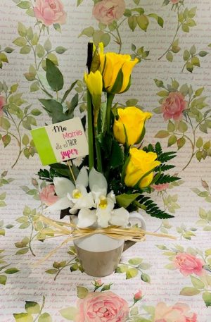 Le bonheur de mémé